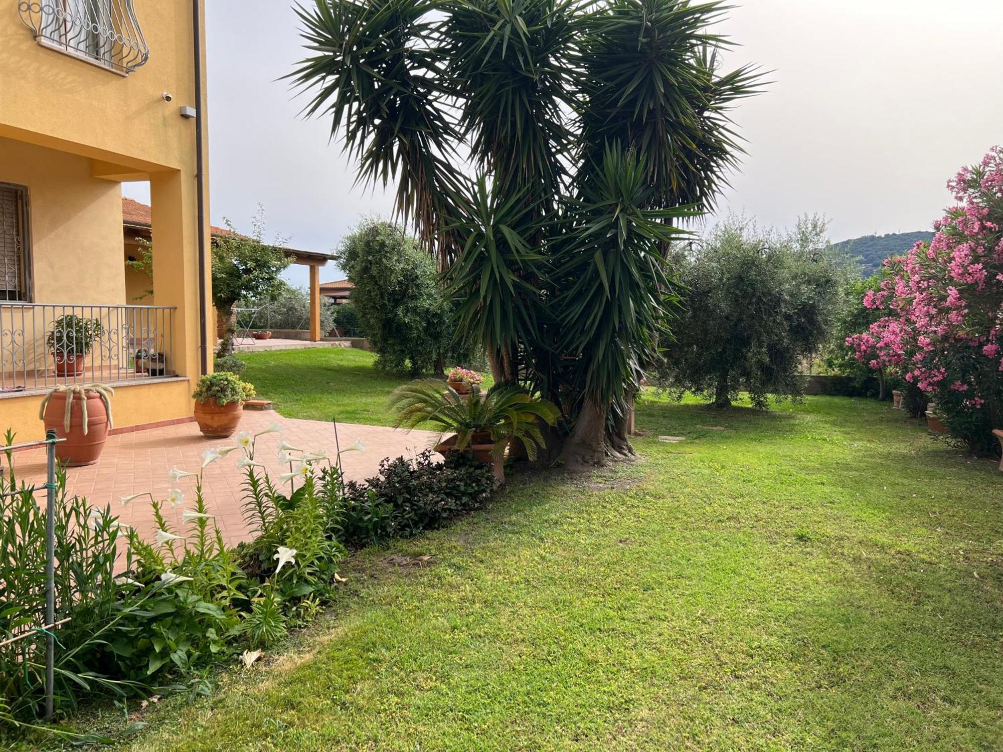 Agriturismo Il Giardino Degli Olivi Appartamenti Castiglione della Pescaia Eksteriør bilde